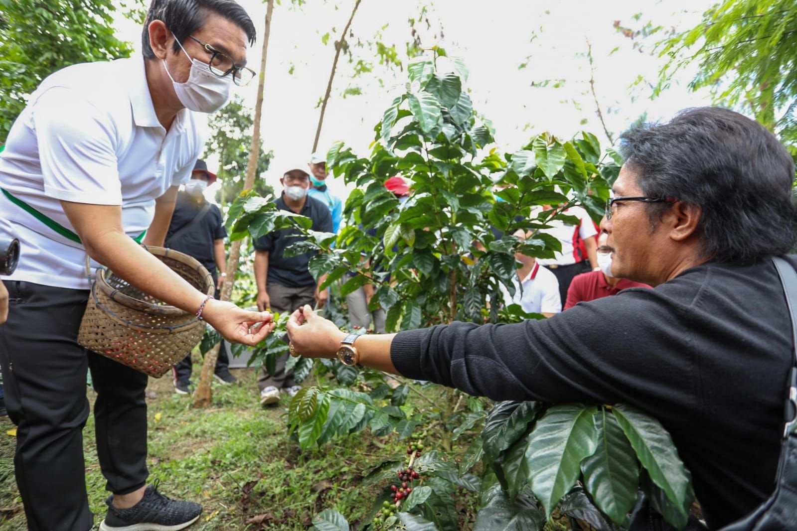 podiumnews.com-Wujudkan Badung Daulat Pangan, Bupati Giri Prasta Optimalkan Peran ATP